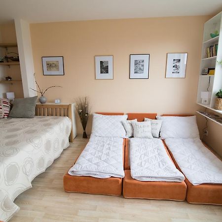 Apartman Labe Ústí nad Labem Екстериор снимка